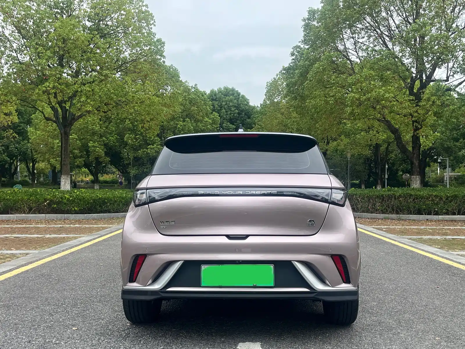 Фото 5 - BYD Dolphin