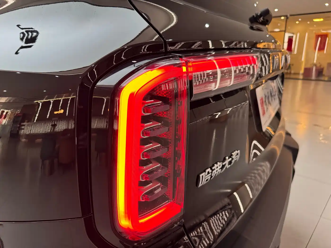 Haval Big Dog 2022 Model 2.0T DCT AWD Howling Celestial Dog Hunting Edition фото 41