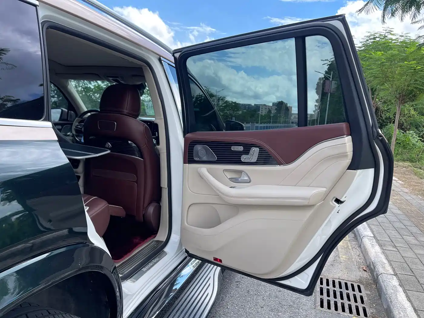Mercedes-Benz Maybach GLS 2022 GLS 480 4MATIC фото 14