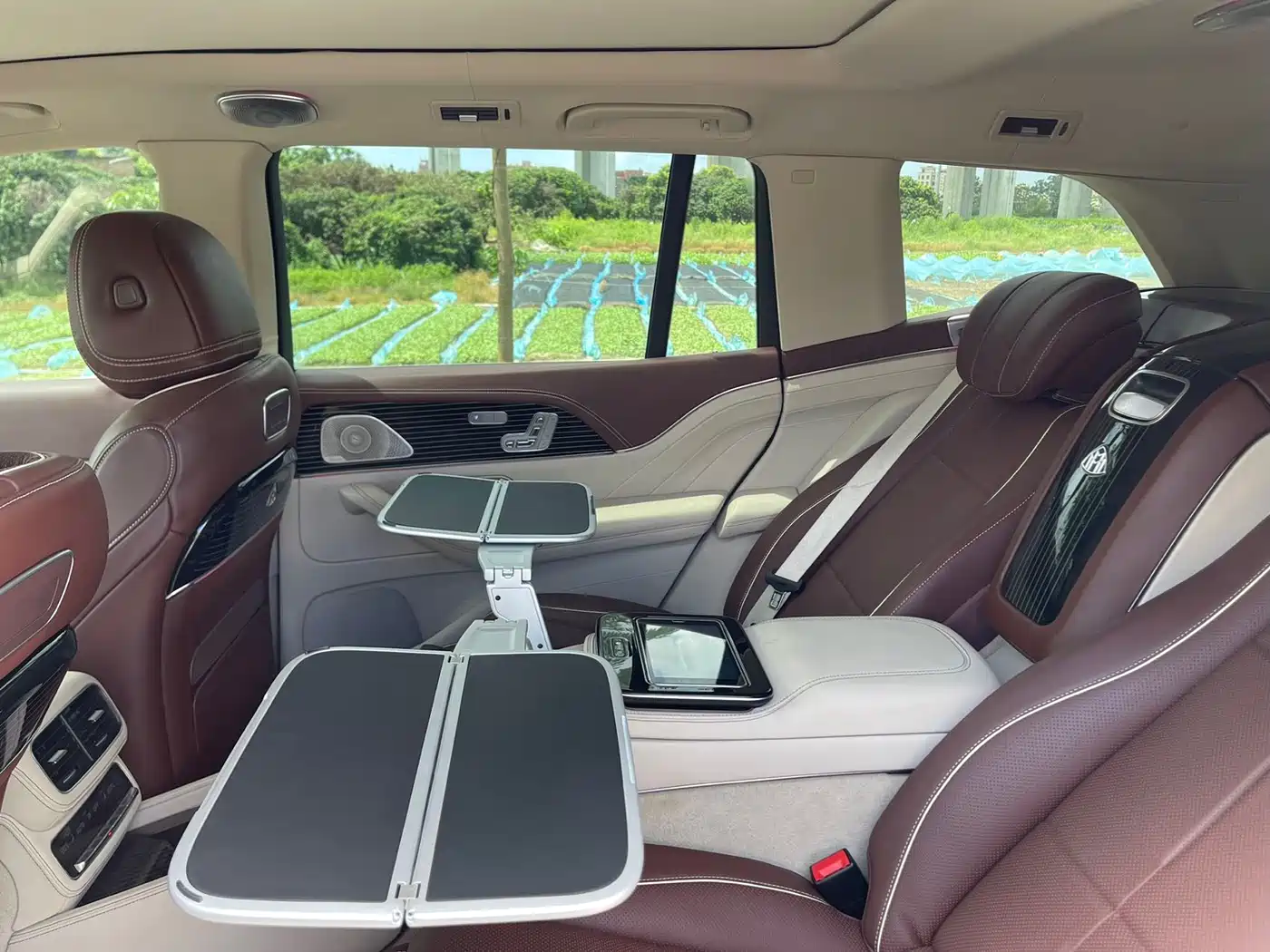 Mercedes-Benz Maybach GLS 2022 GLS 480 4MATIC фото 28