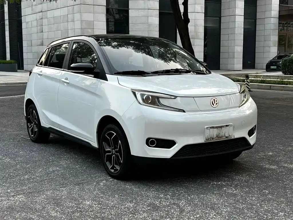 Electric House YOUNG Guang Xiaoxin 2022 2021 L400 4-Seater