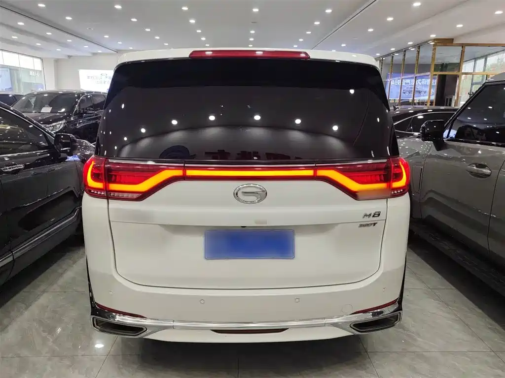 GAC Trumpchi Trumpchi M8 2021 Leading Show Series 390T Premium Edition фото 10