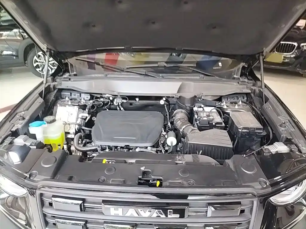 Haval Big Dog 2026 Model 1.5T High Configuration фото 20