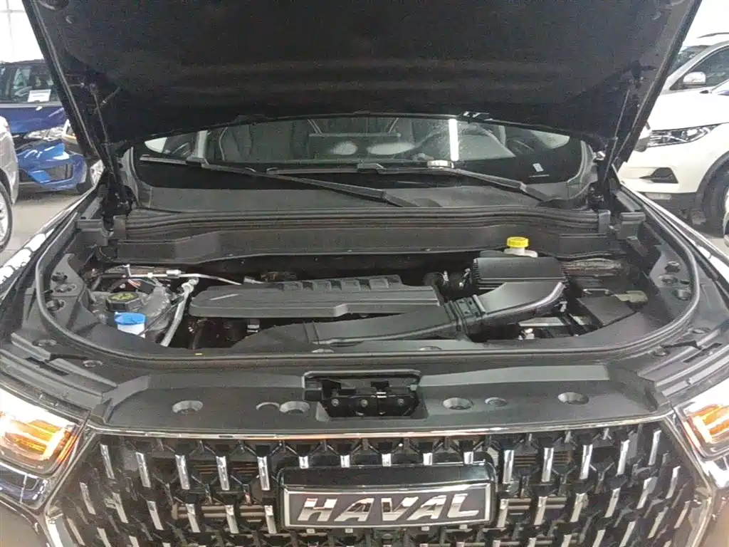 Haval H6 2023 National Trend Edition 1.5T Automatic Urban фото 20