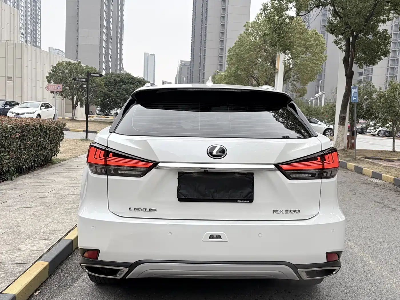 LEXUS RX