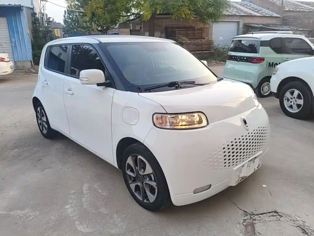 Ora White Cat 2020 2020 305km Luxury