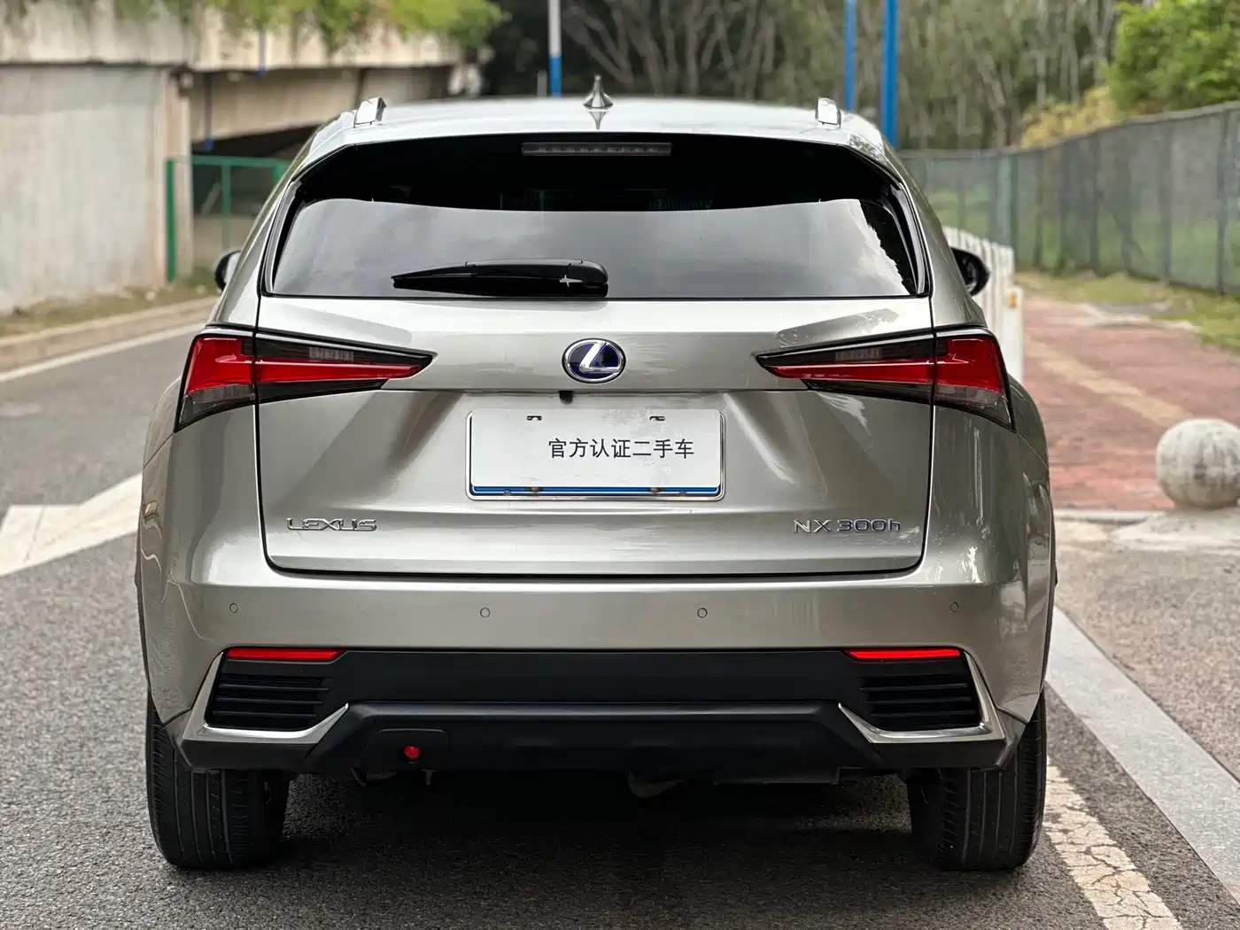 LEXUS NX