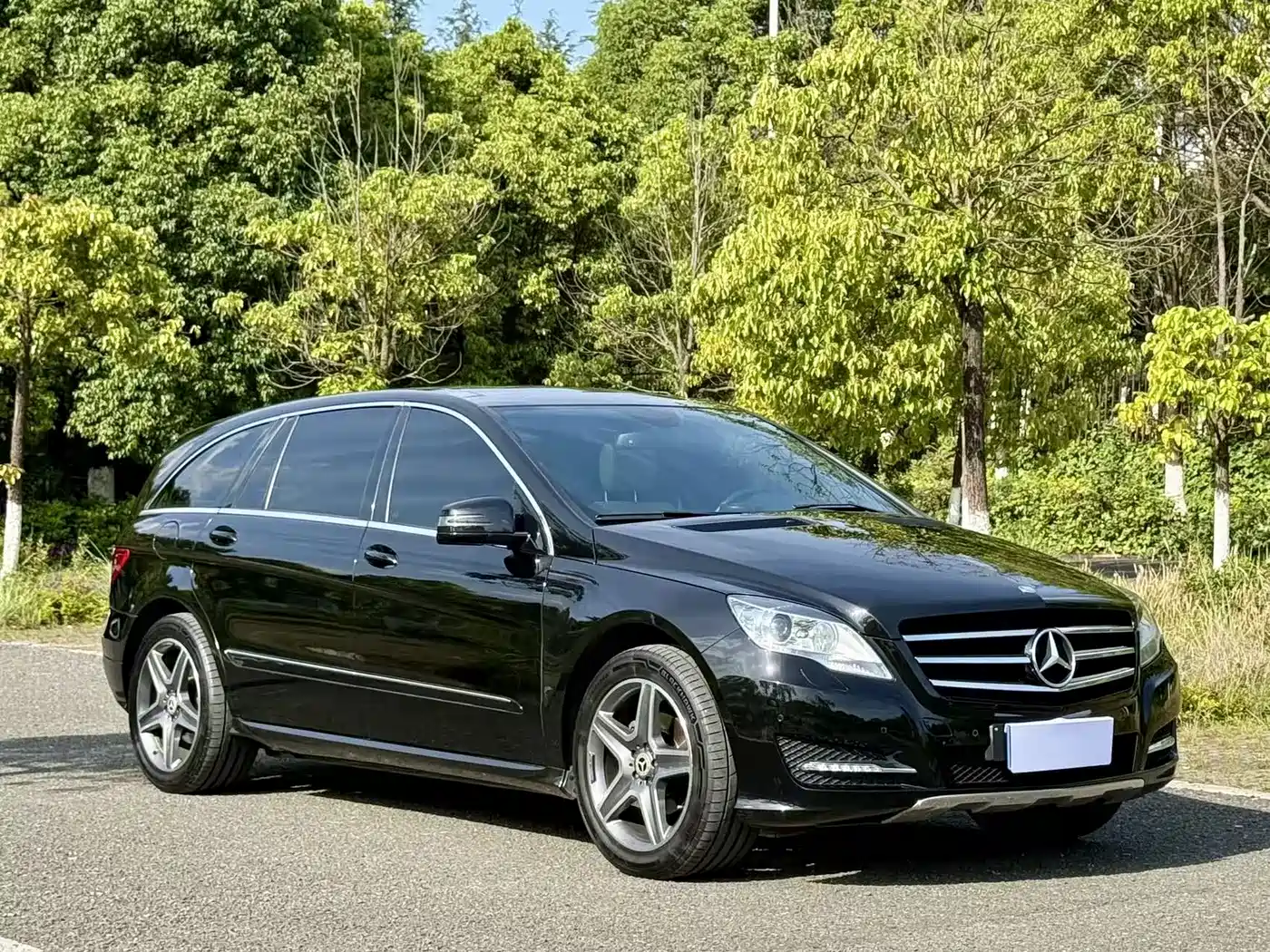 Mercedes-Benz R-Class 2014 R 320 4MATIC Luxury фото 3