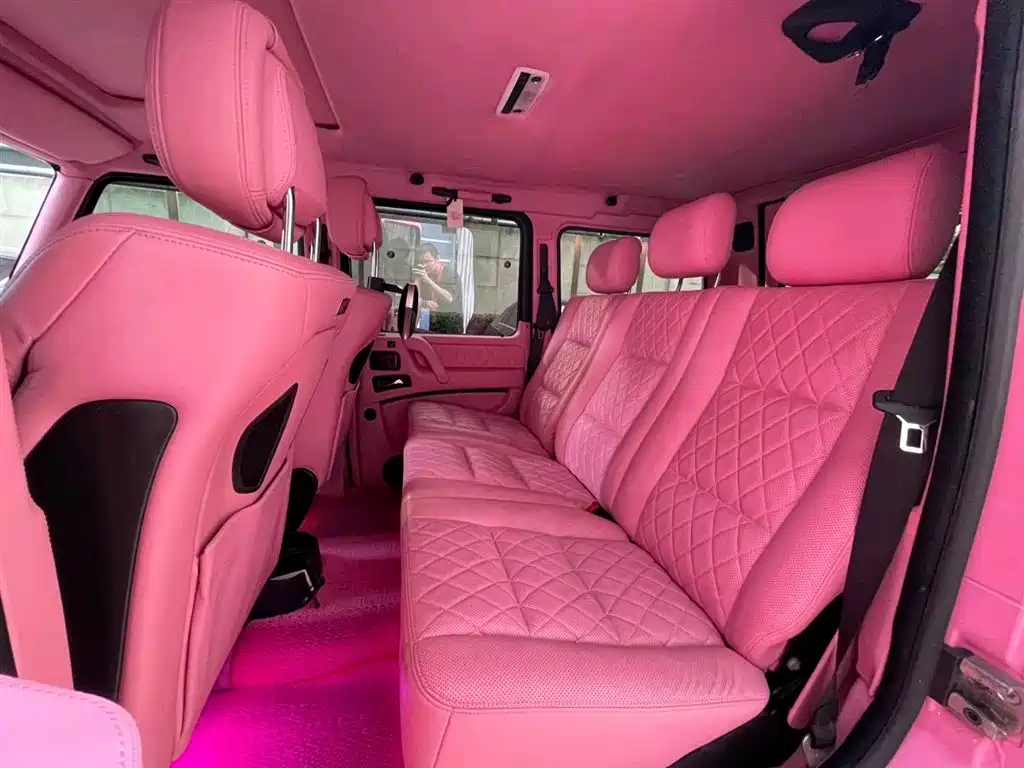 Mercedes-Benz G-Class 2015 G 500 Heavy Duty Edition фото 6