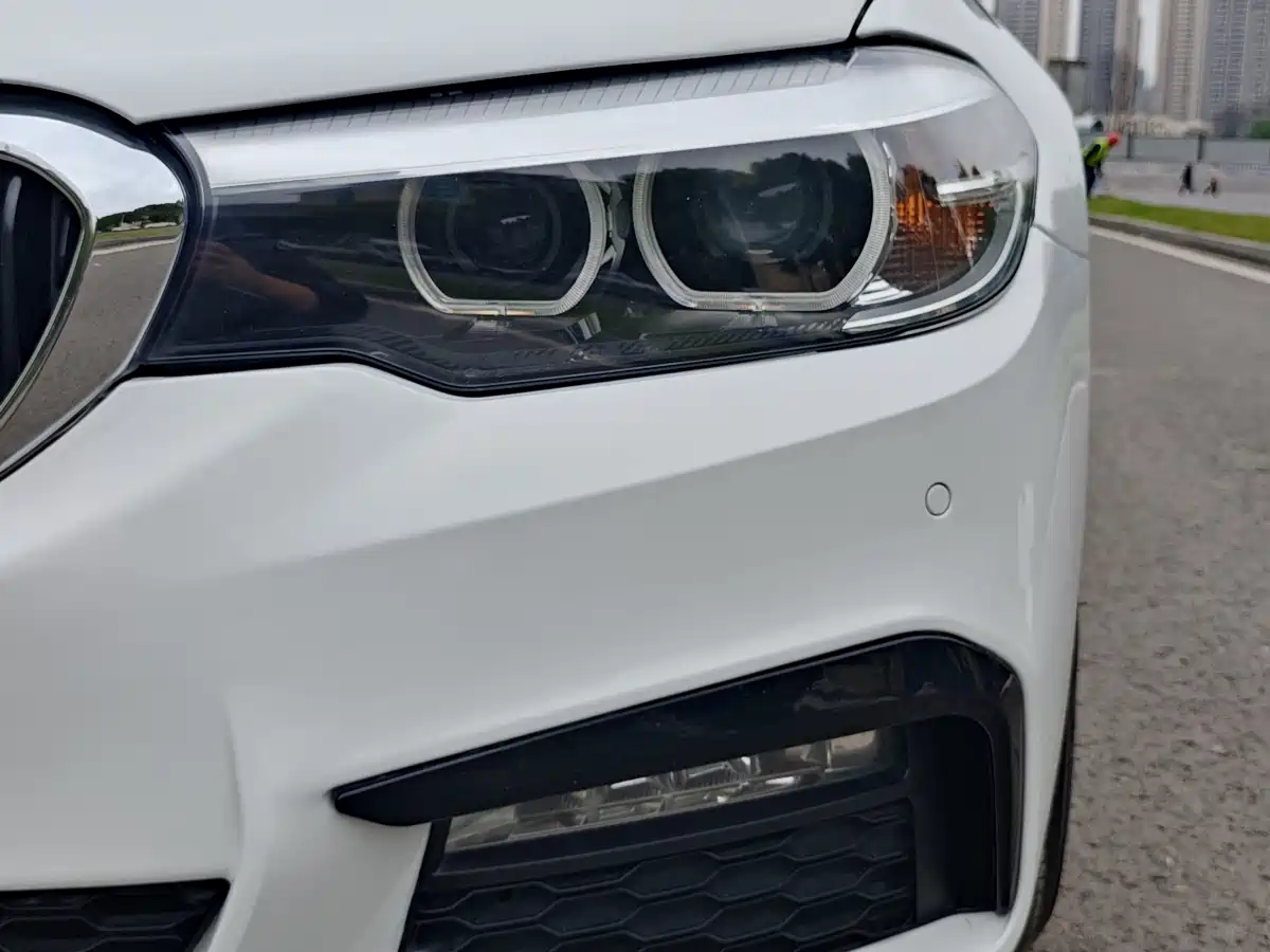 BMW 5 Series 2018 530Li Leading M Sport Package фото 10
