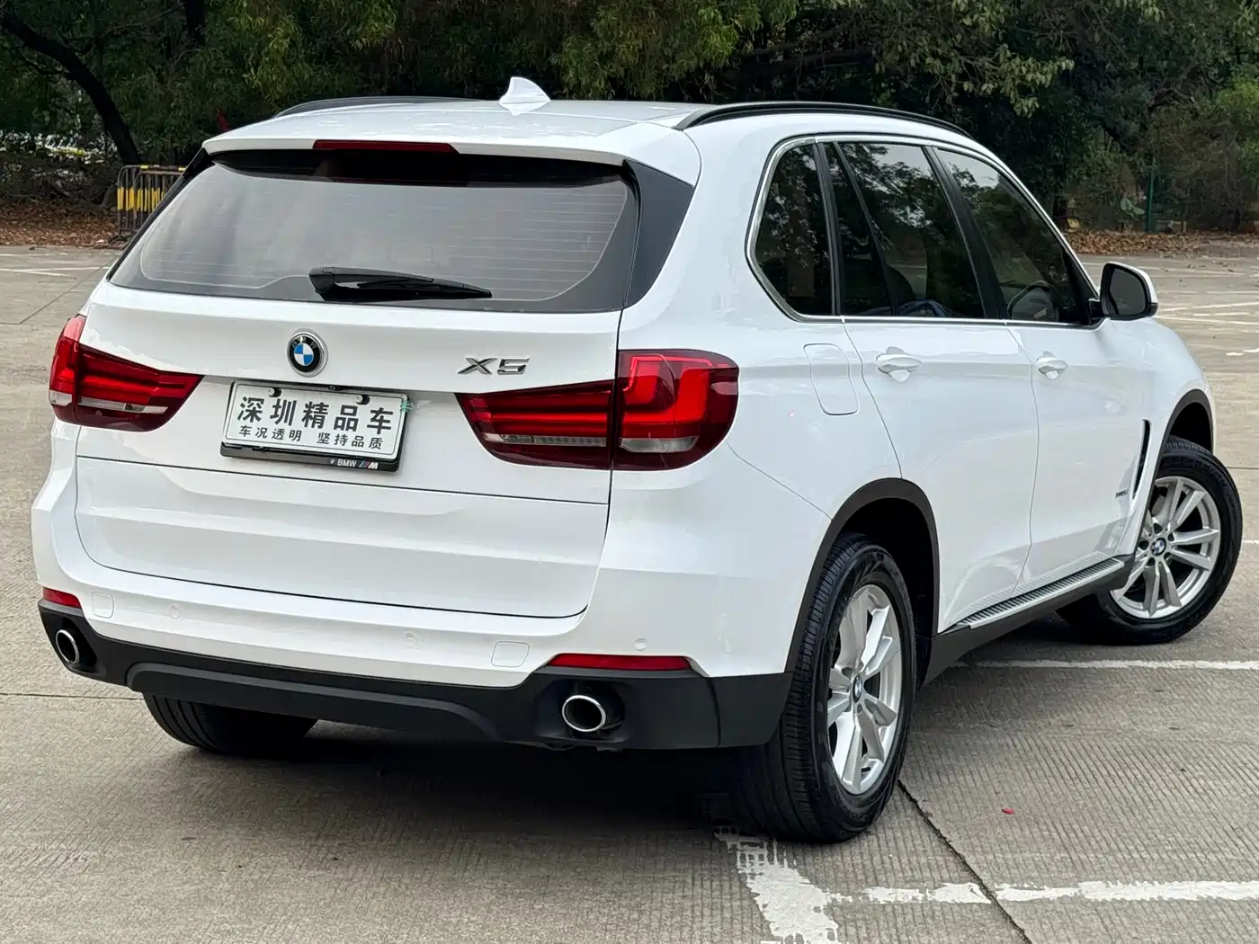 BMW X5 (Import) 2014 xDrive35i Elegance фото 7