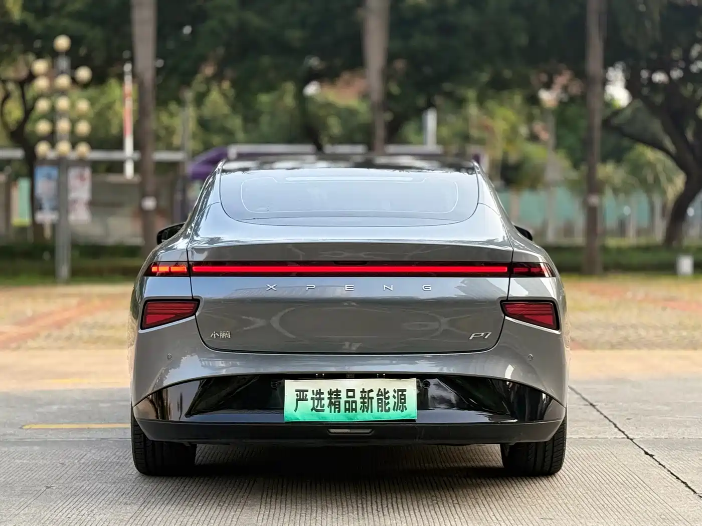 Фото 24 - XPeng P7