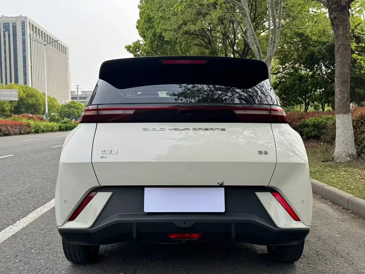 BYD Seagull 2024 Glory Edition 305km Freedom Edition фото 5