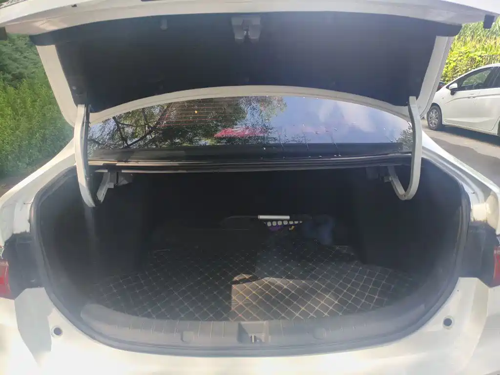 BYD Qin New Energy 2020 2019 Long Range Edition Premium