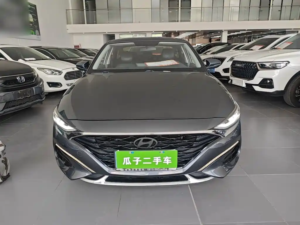 Photo 3 - Hyundai Lafesta