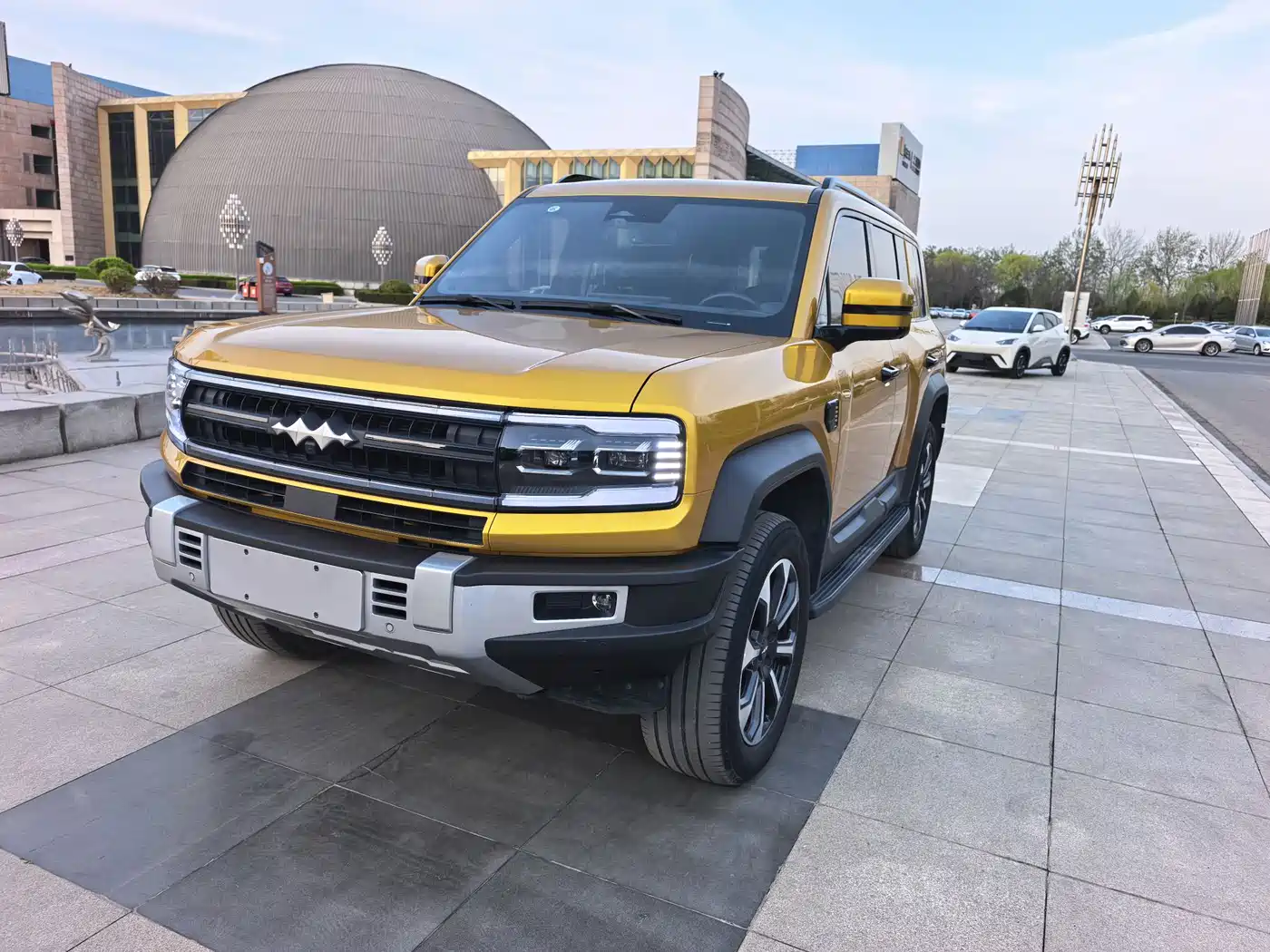 FANG CHENG BAO LEOPARD 5