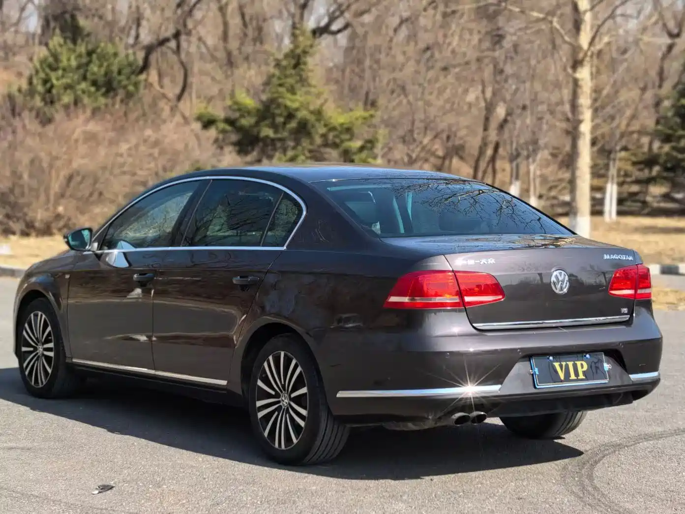 Volkswagen Magotan 2012 3.0FSI Flagship фото 4
