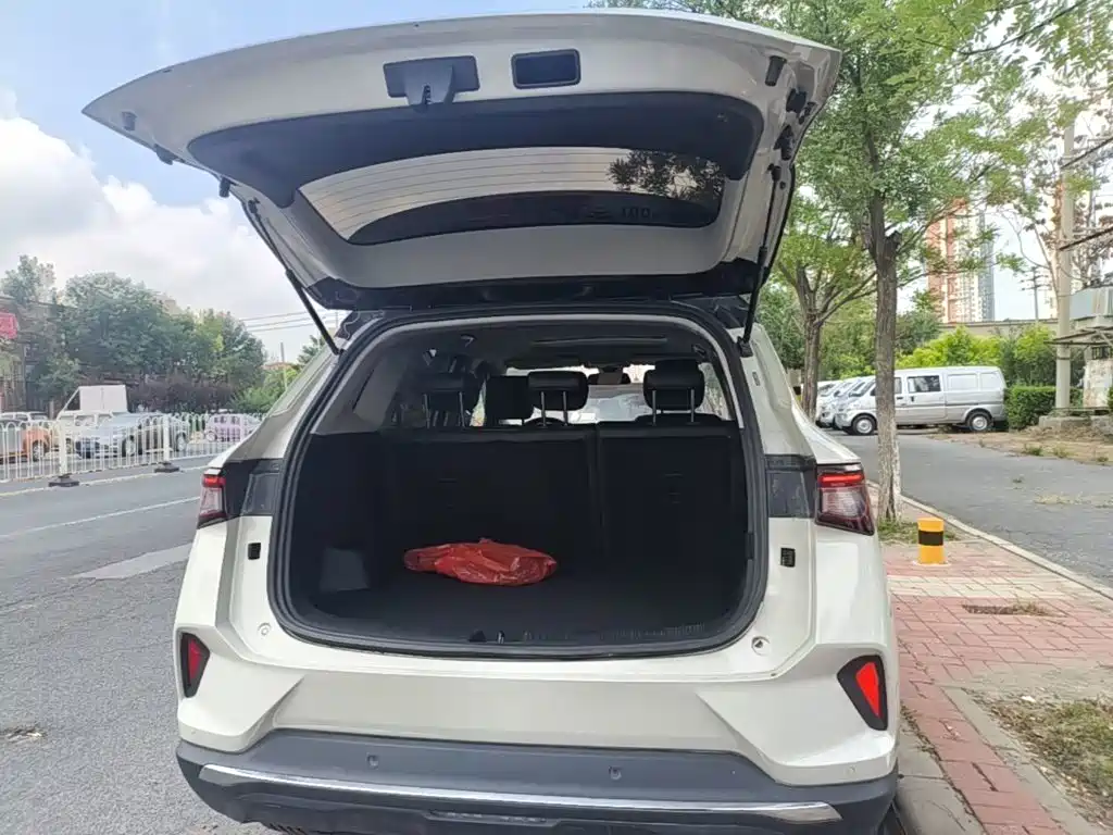 Wuling Motors Wuling Xingchen 2021 2021 1.5T CVT Starlight Edition