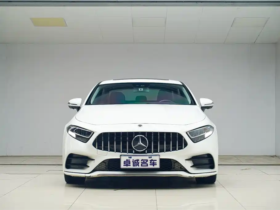 Mercedes-Benz CLS 2020 CLS 300 Luxury фото 2