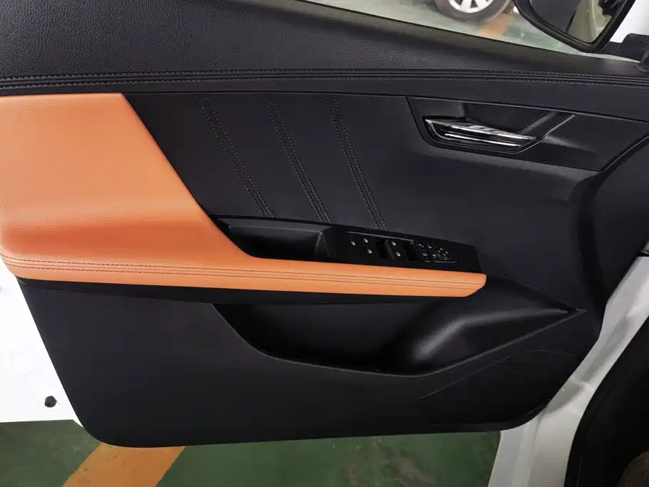 BYD e2 2021 2021 Luxury Edition