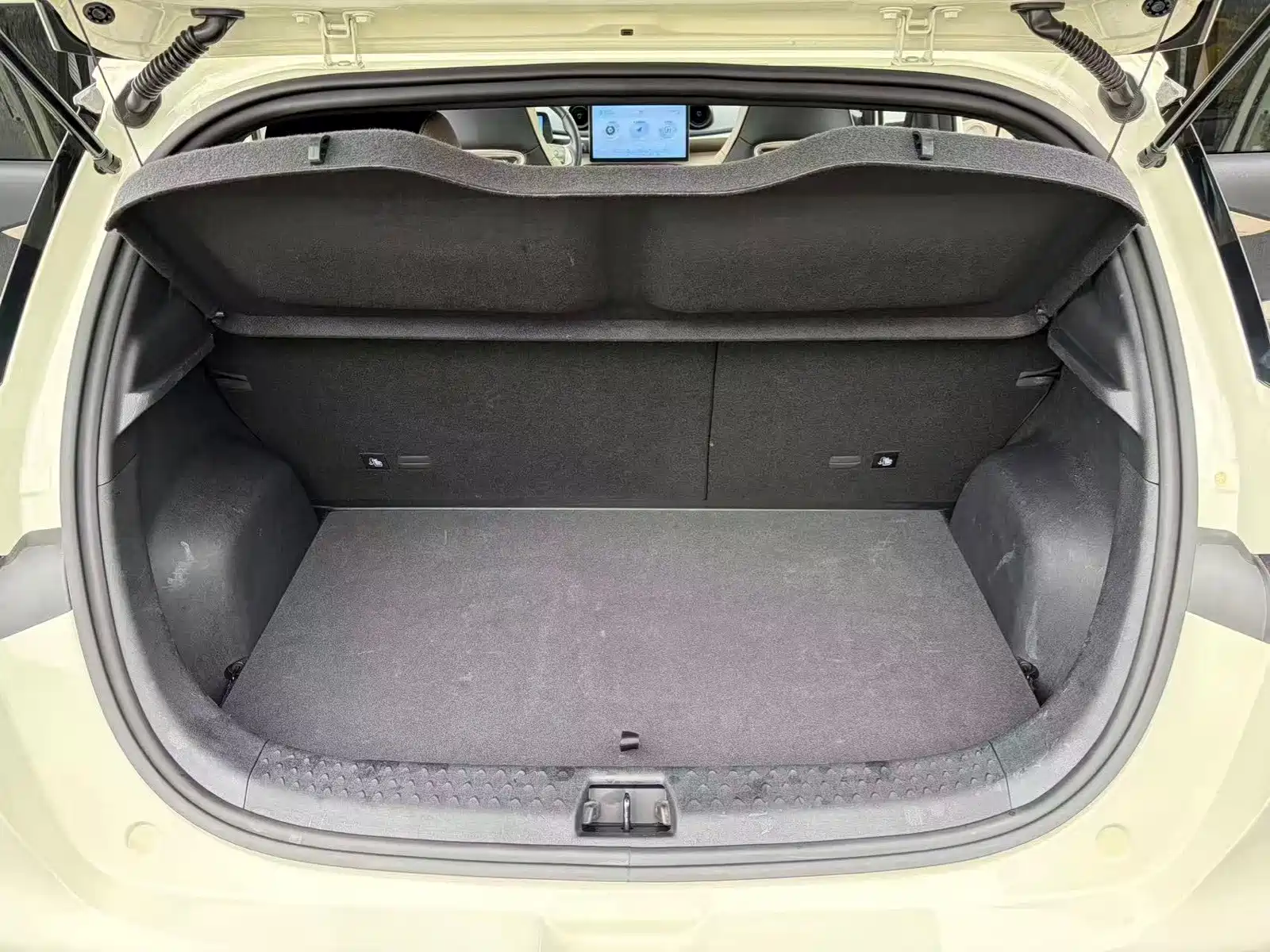 Фото 9 - BYD Dolphin