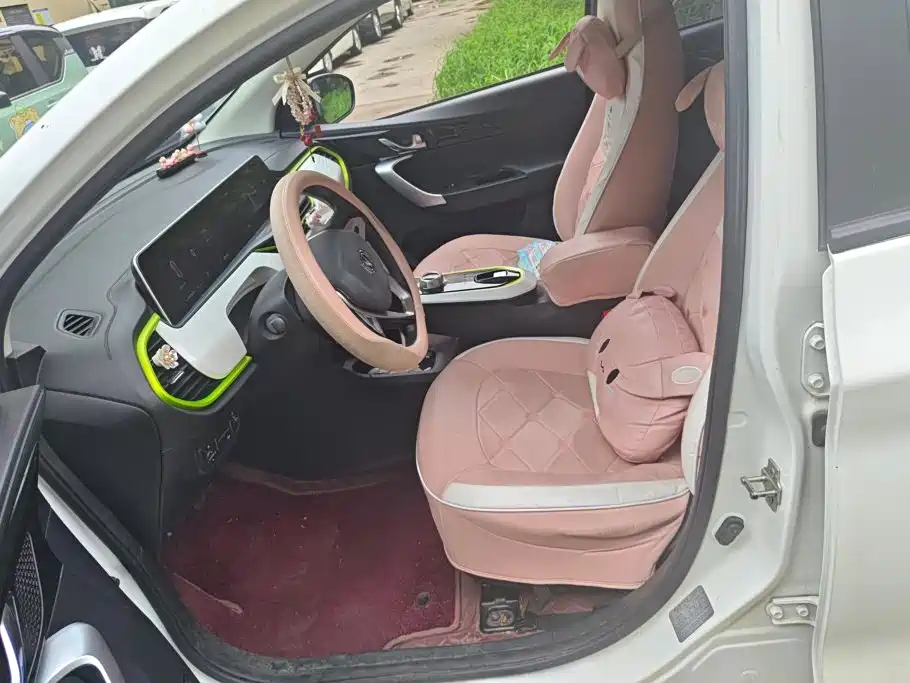 Changan Benben E-Star 2021 2022 Appreciation Edition Colorful LFP