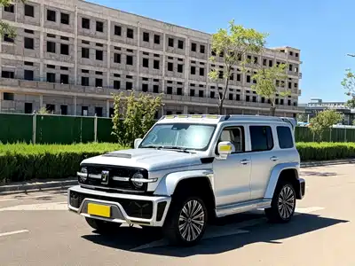Chaojing Tank 300