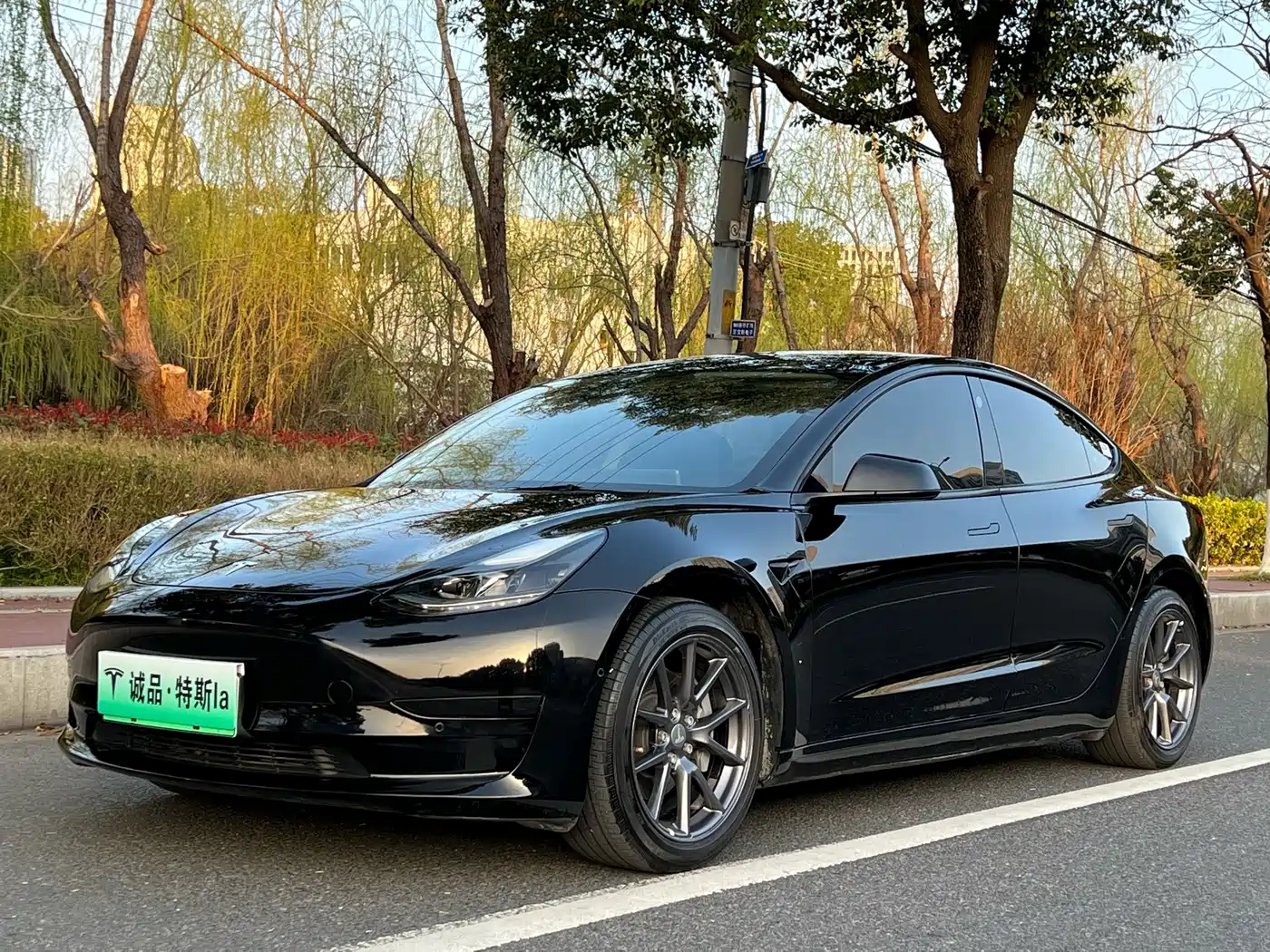 Tesla Model 3 2021