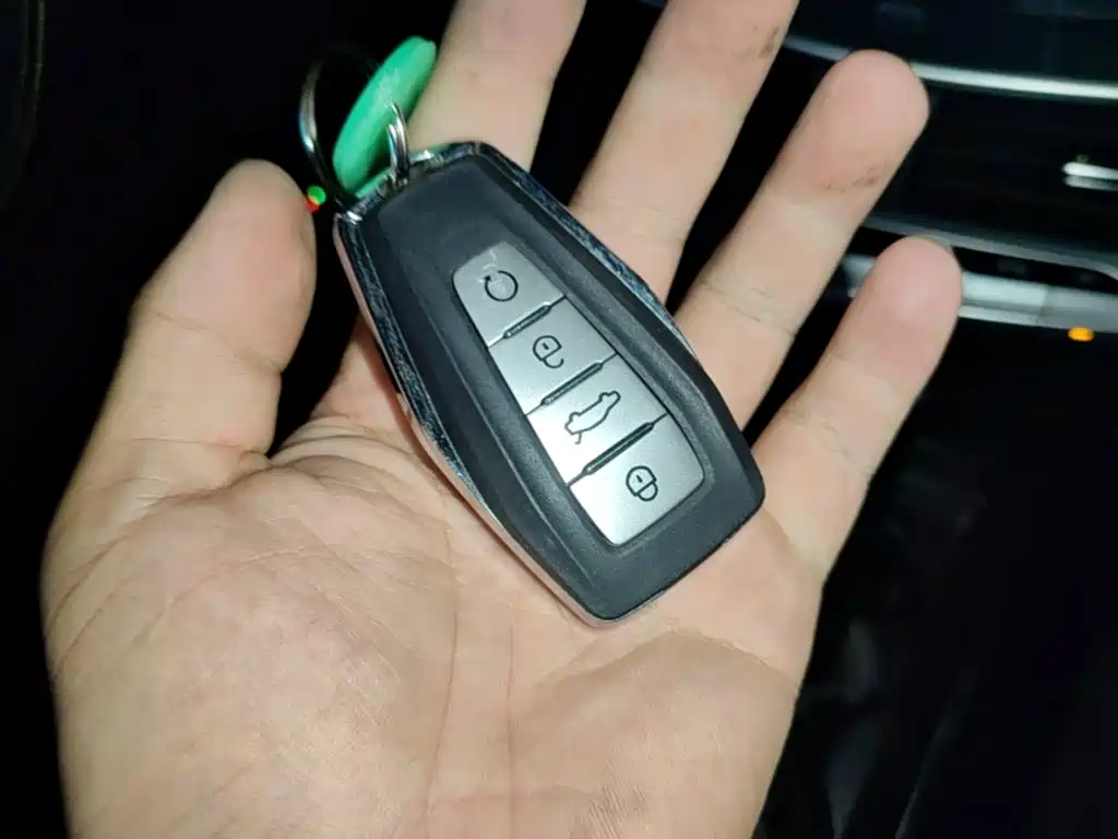 Geely Borui 2021 2021 1.8T Pilot Edition+