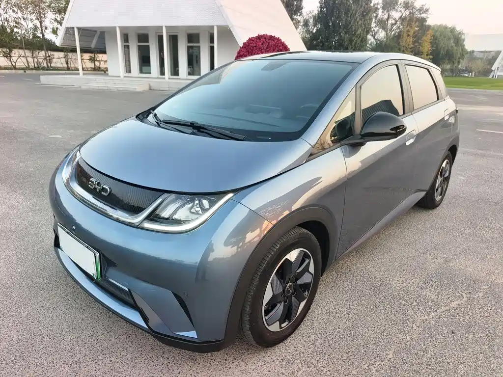 Фото 1 - BYD Dolphin