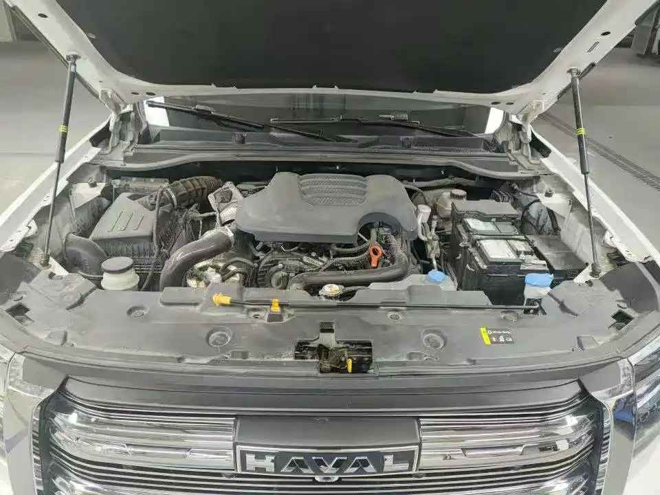 Haval H5 2024 2023 2.0T Manual 4WD Return Custom Edition Diesel