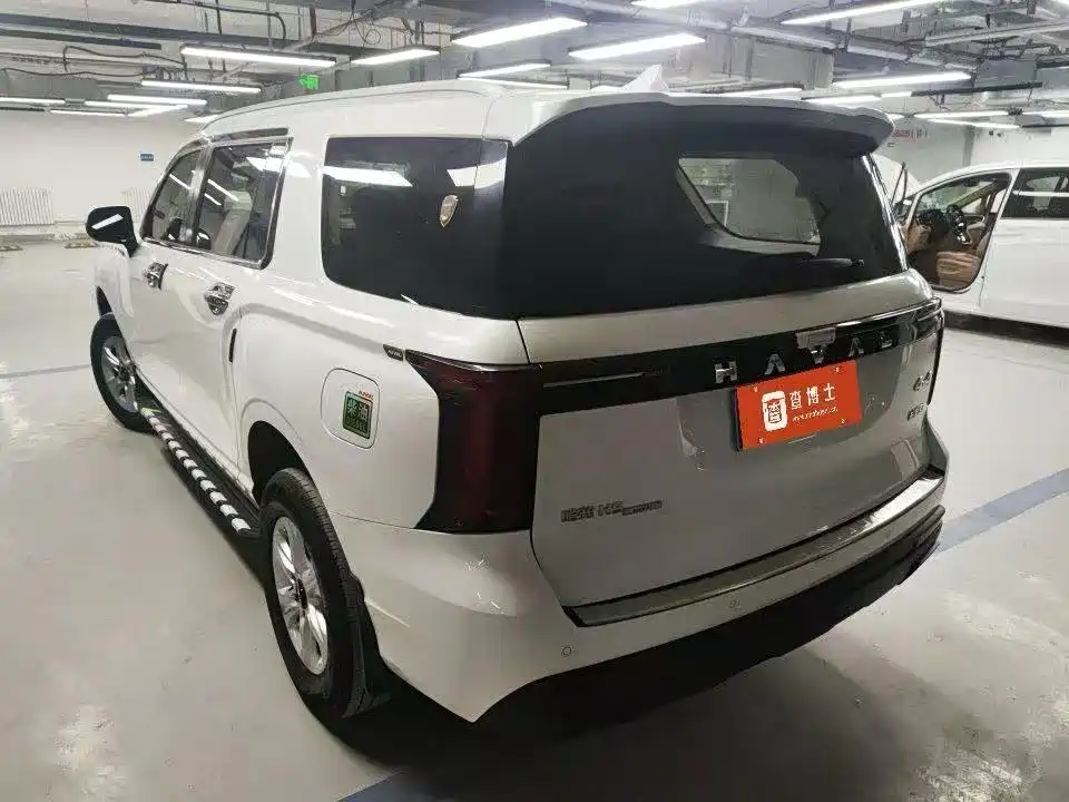 Haval H5 2024 2023 2.0T Manual 4WD Return Custom Edition Diesel
