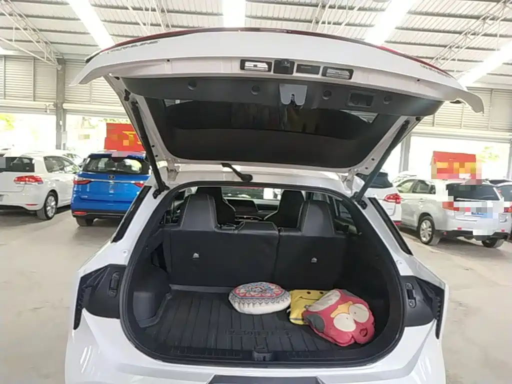 Venucia Big V 2022 2021 260T King Edition