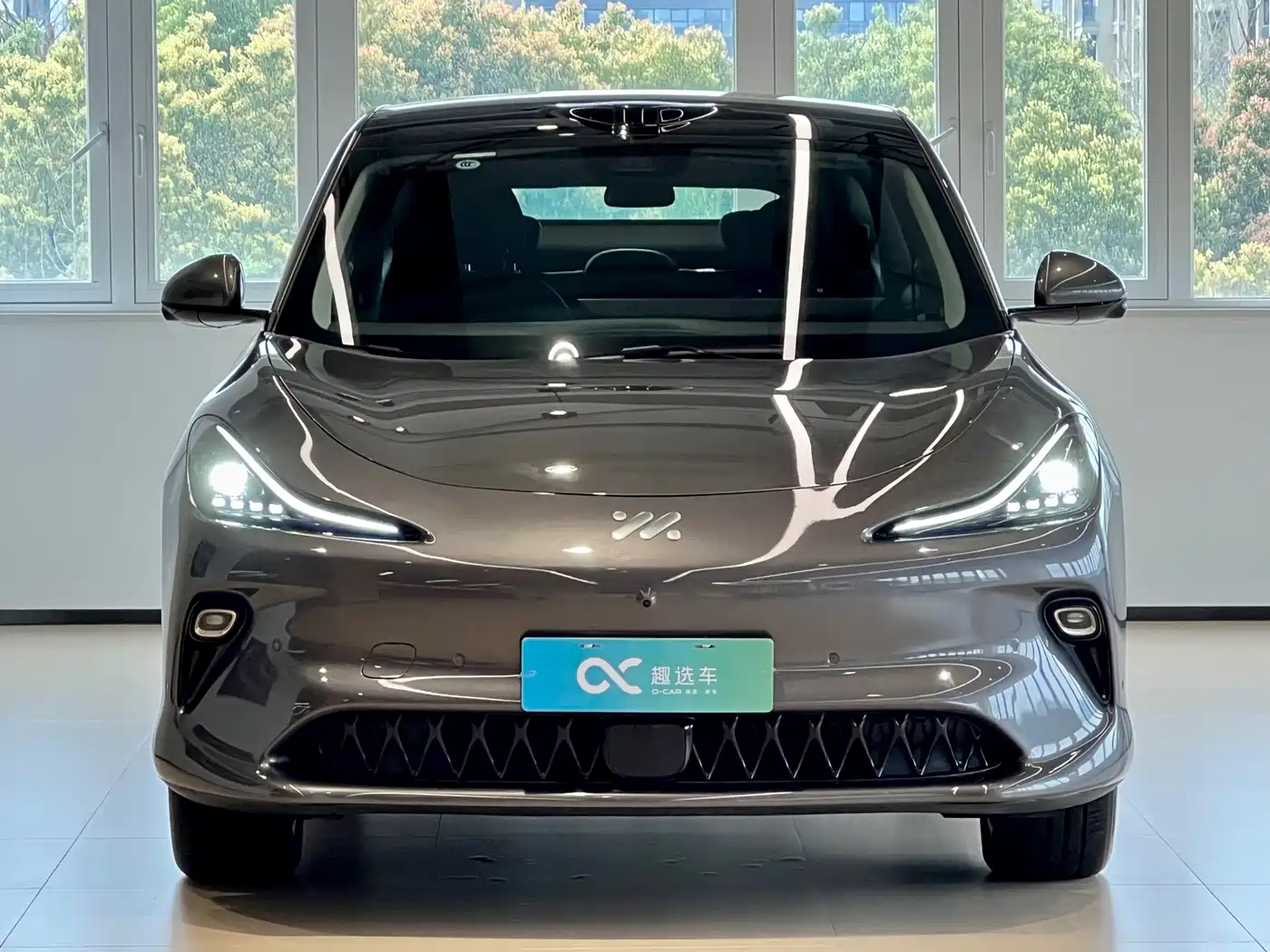 ZHIJI AUTOMOBILE ZHIJI LS6