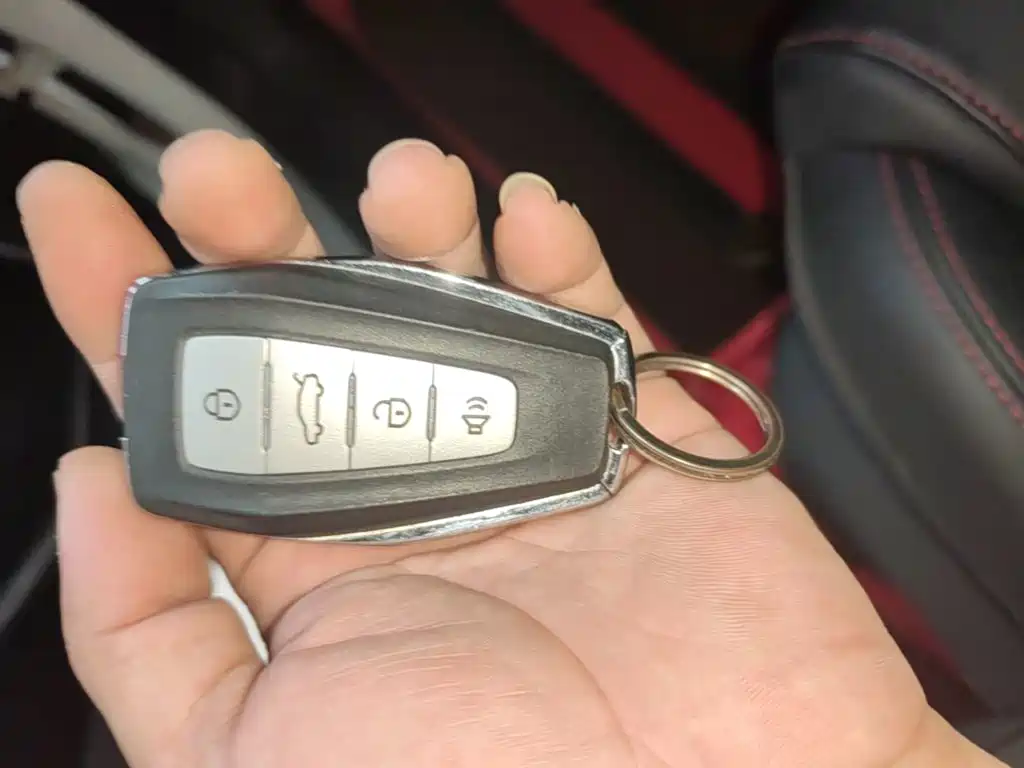 Фото 9 - Geely Binrui