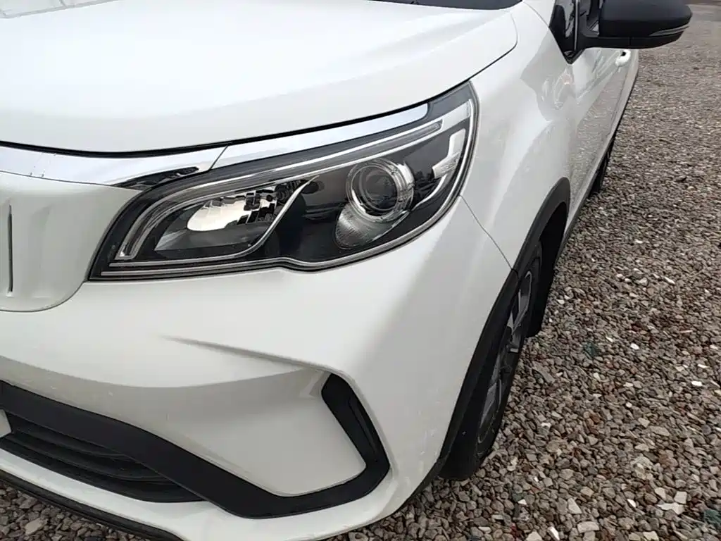 Geely Geometry EX3 Kung Fu Bull 2022 2021 Strong Bull