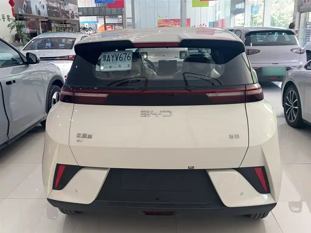 BYD Seagull 2026 2025 Smart Drive Edition 305km Vitality Version
