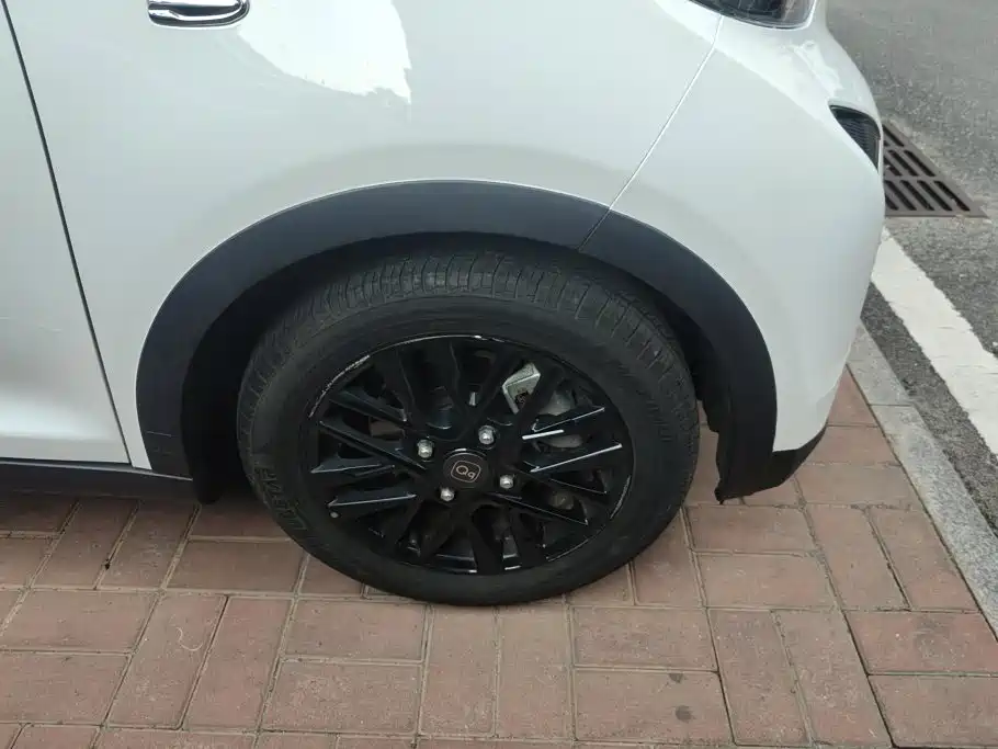 QQ New Energy Little Ant 2024 2024 Facelift 321km Beloved Edition
