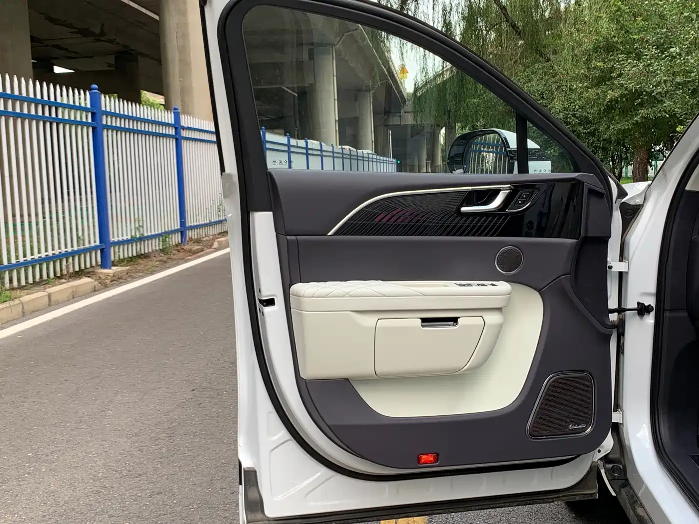 Hongqi E-HS9 2023 2022 690km Qi Xiang Edition (6-seater)