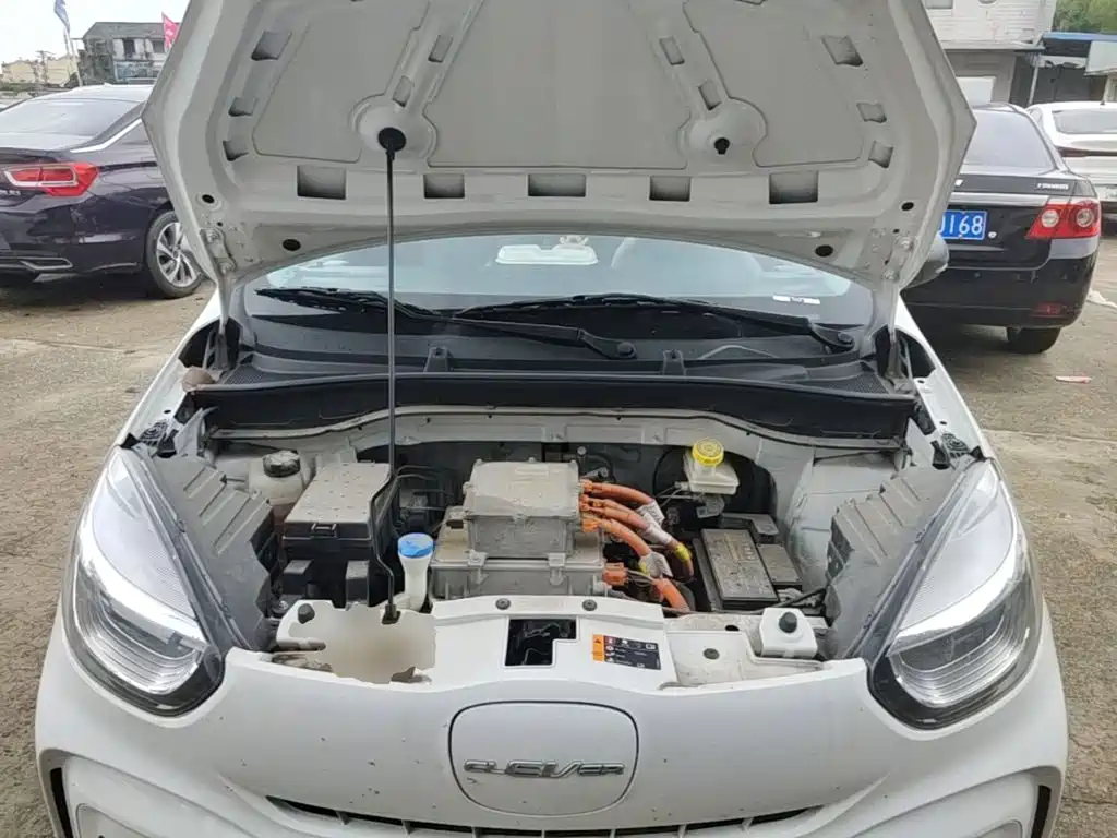 Roewe Kaiwei CLEVER 2023 2022 311km Vitality Bobo Edition