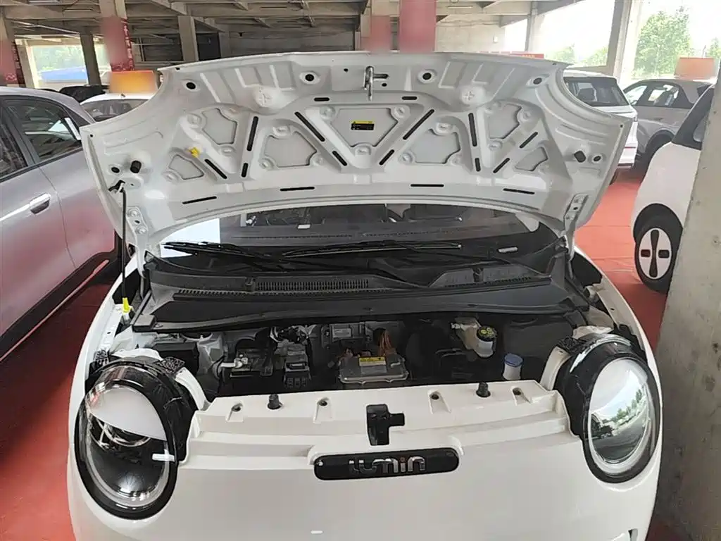 Changan Qiyuan Changan Lumin 2026 2026 Model 205km Treasure Edition