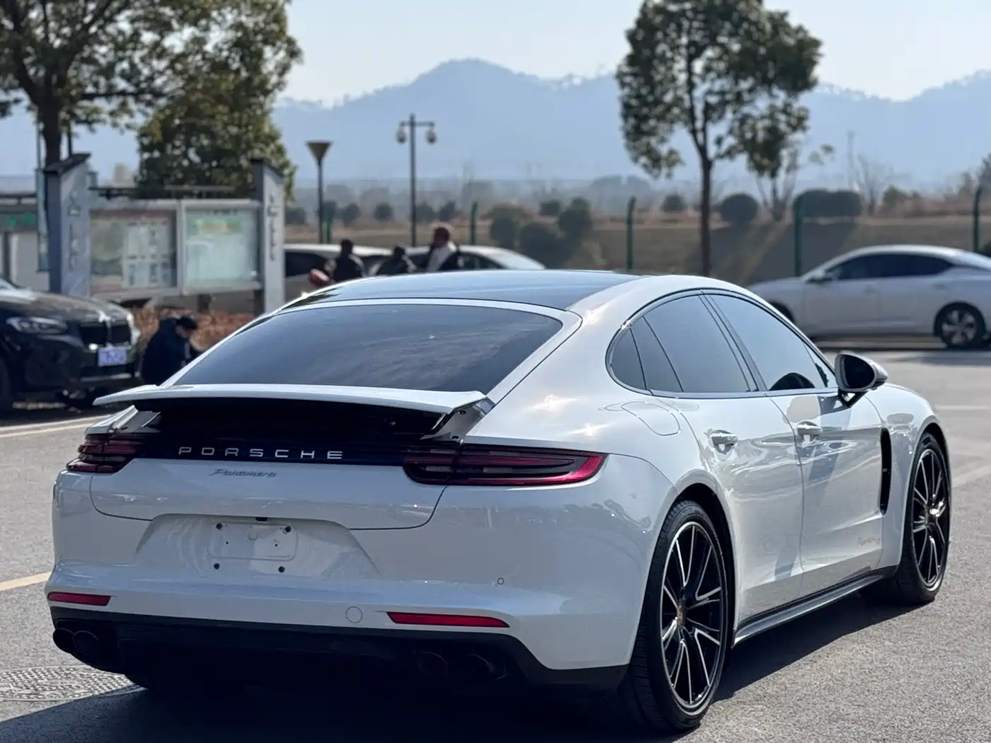 Porsche Panamera 2020 Panamera 10th Anniversary Edition 2.9T фото 3