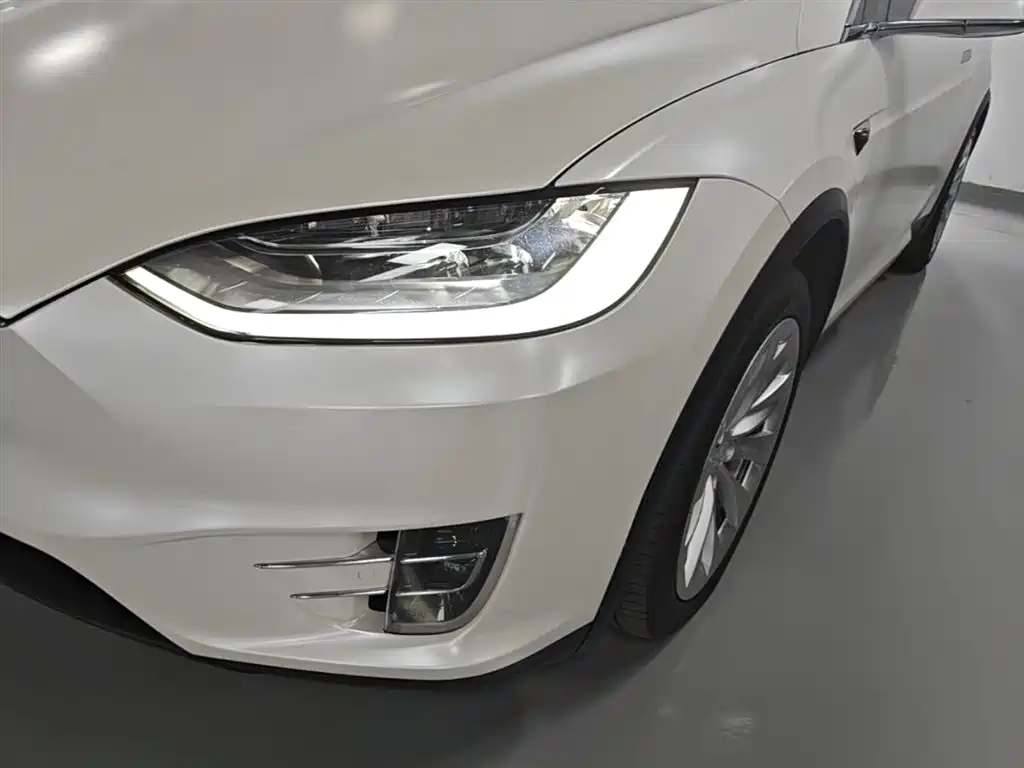 Фото 24 - Tesla Model X