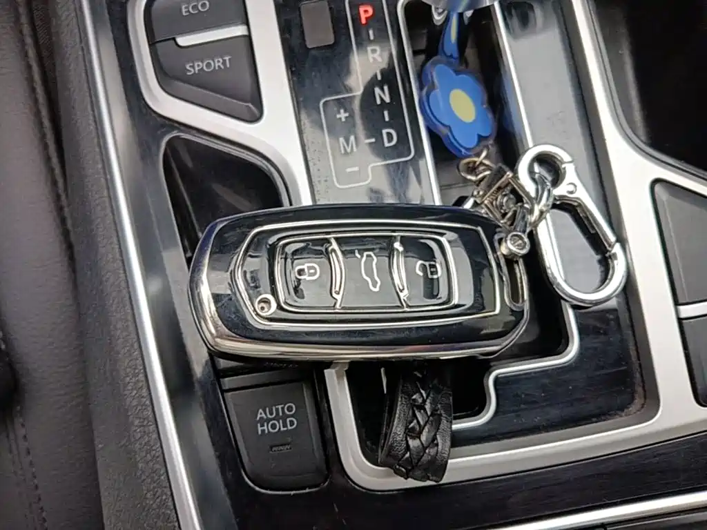Фото 9 - Geely Borui