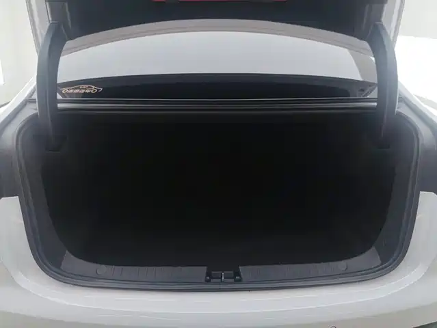 BYD Han 2021 EV Standard Range Luxury — фото 4