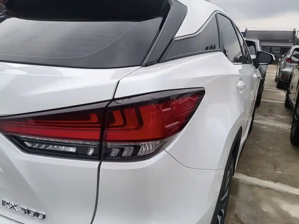 Фото 8 - Lexus RX