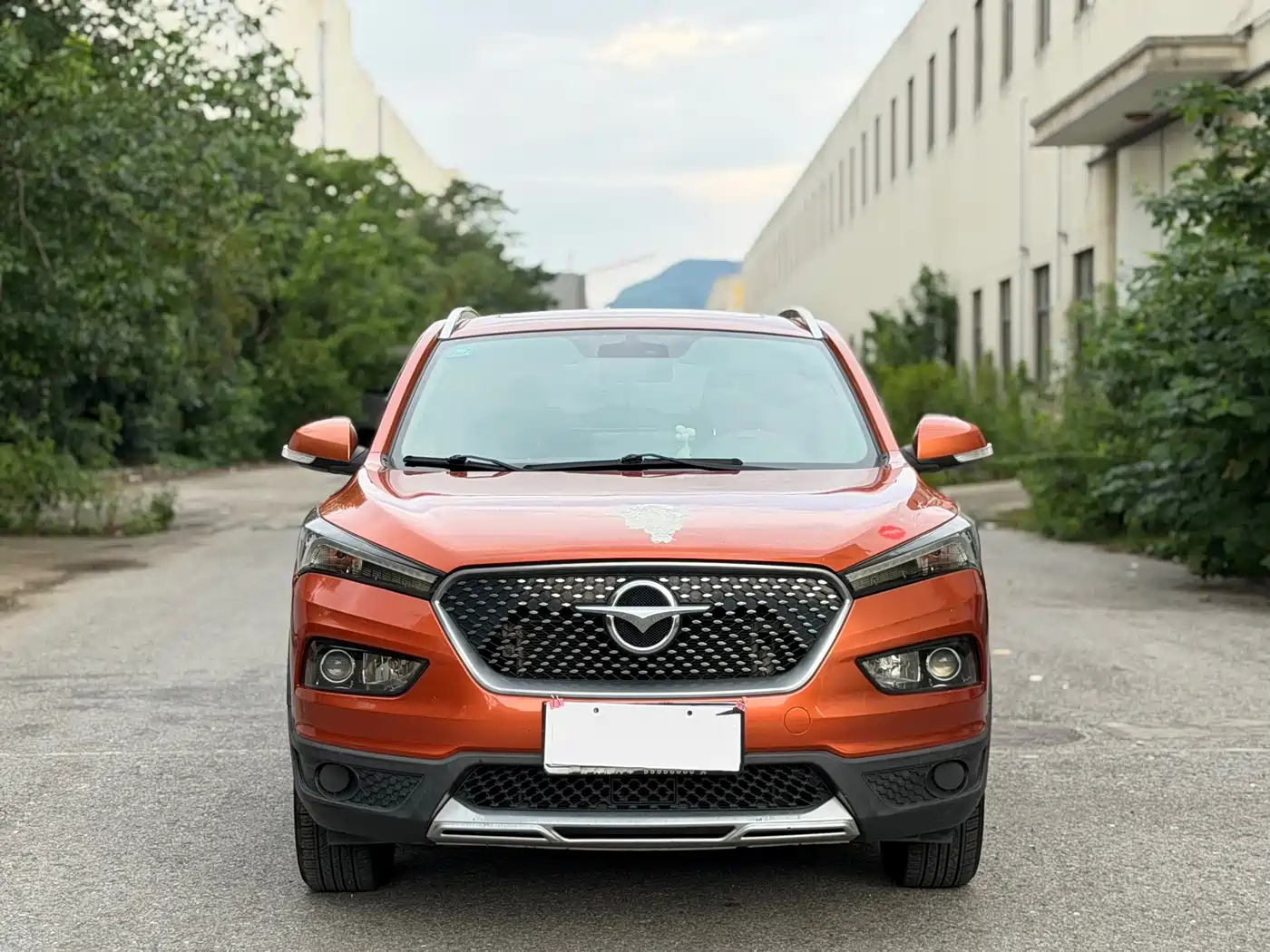 2019 Haima S5