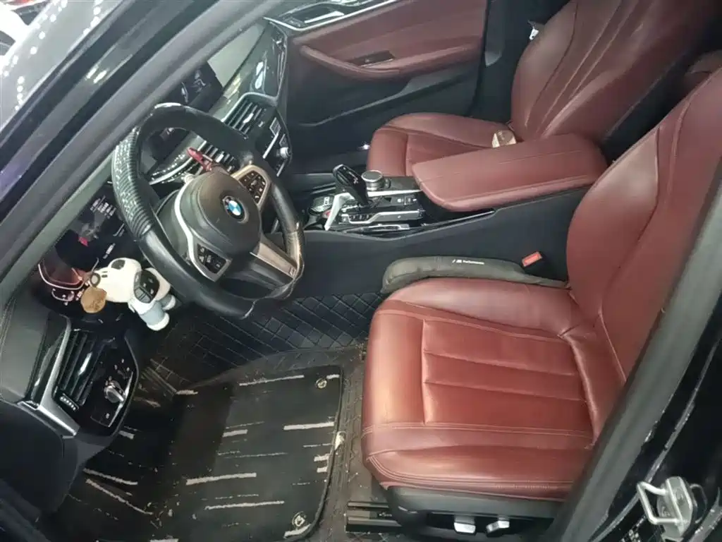 BMW 5 Series 2020 530Li Leading M Sport Package фото 15