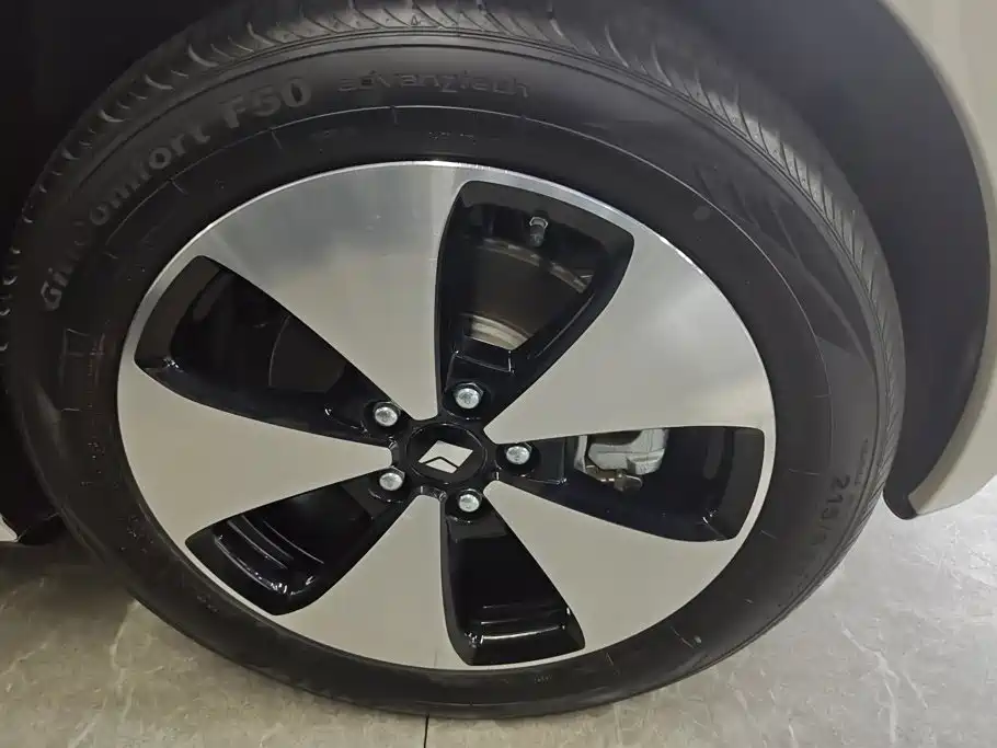 Baojun Cloud 2024 2023 460 Max Intuitive Edition