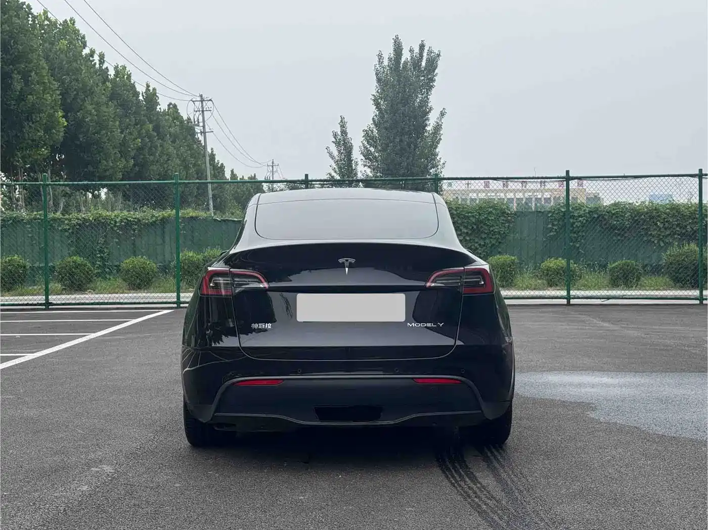 Photo 4 - Tesla Model Y